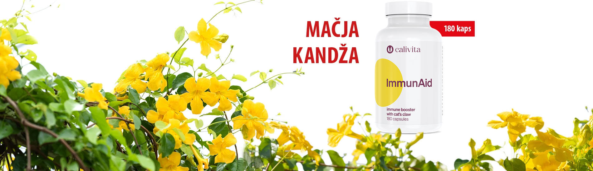 Biljne tablete za imunitet